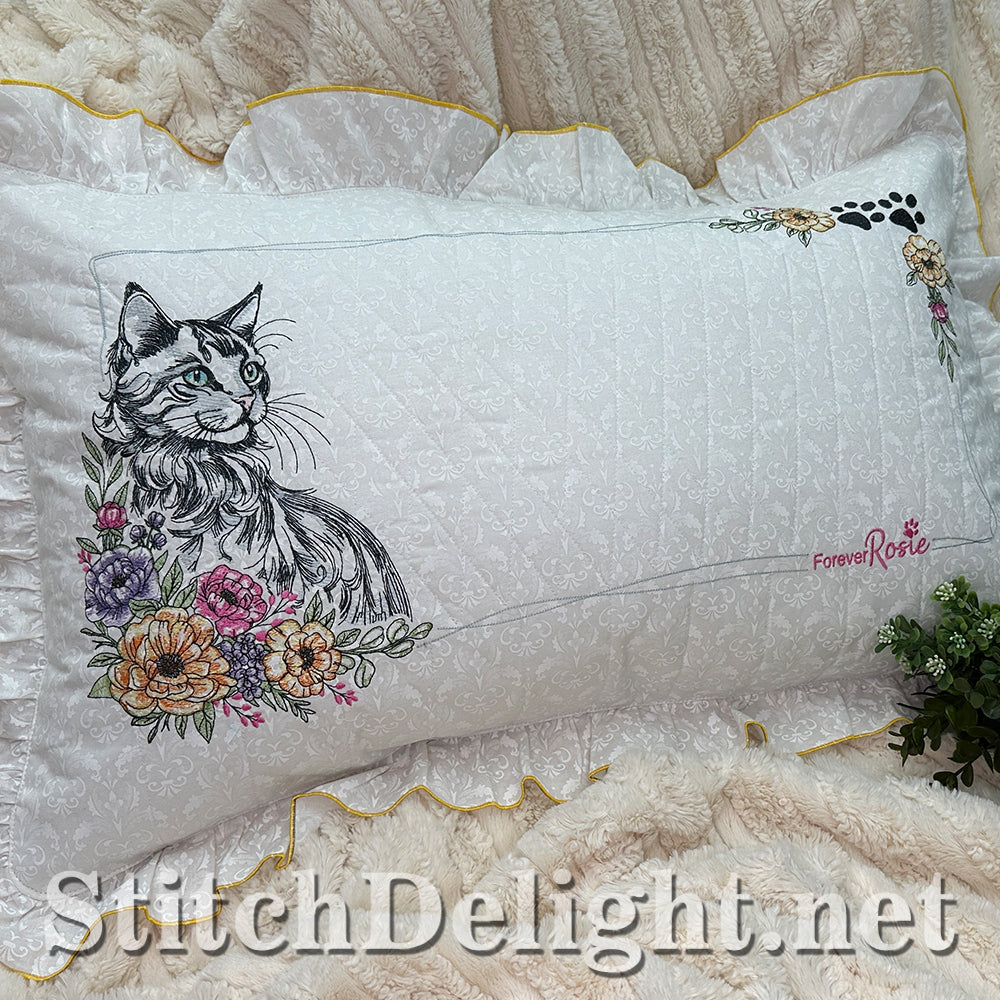 SDS3373 Turkish Angora Cat