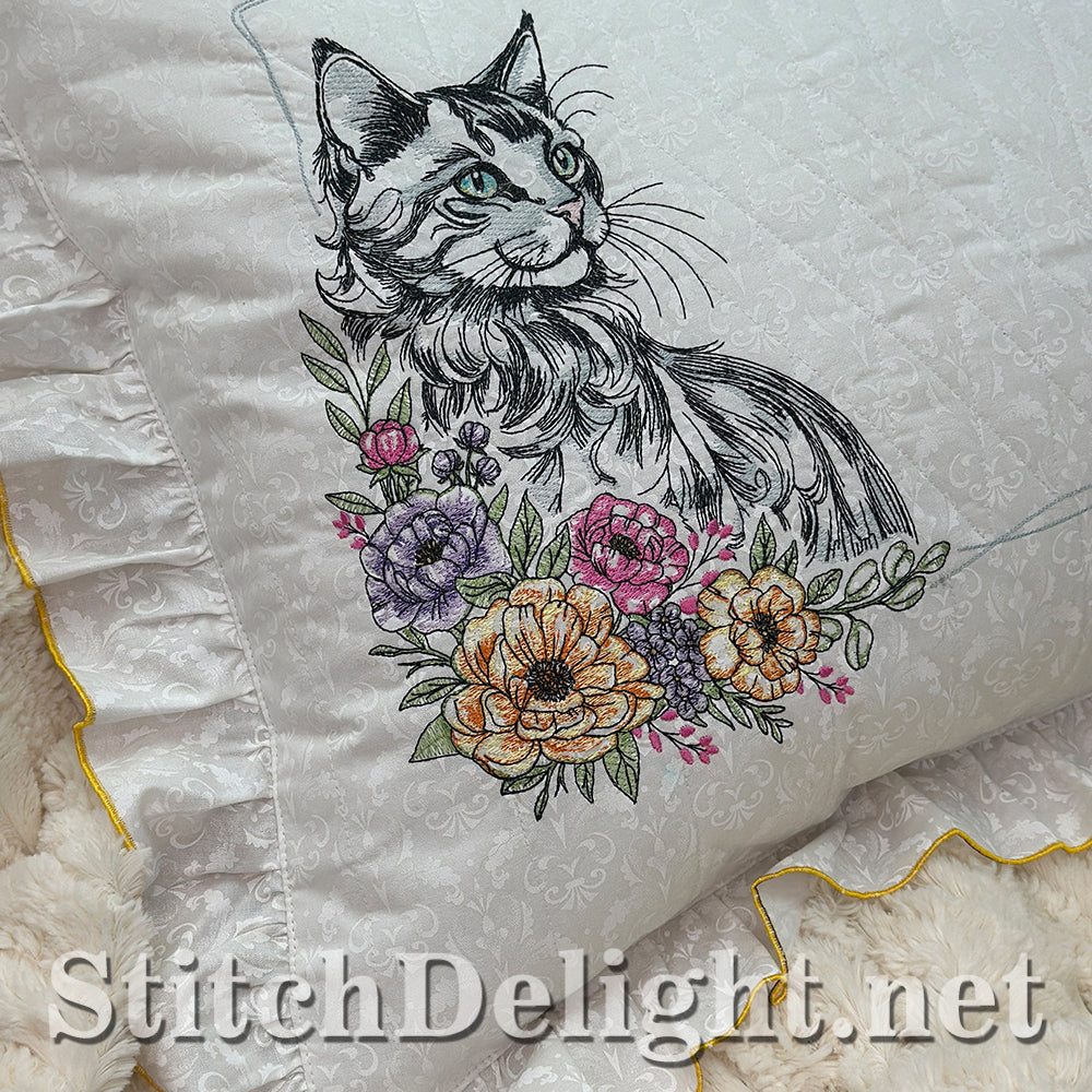 SDS3373 Turkish Angora Cat