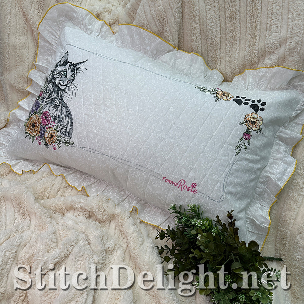 SDS3373 Turkish Angora Cat