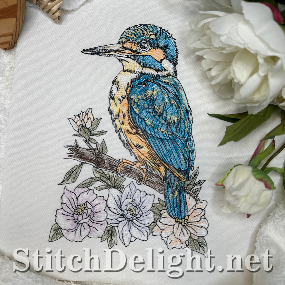 SDS4674 Kingfisher Bird