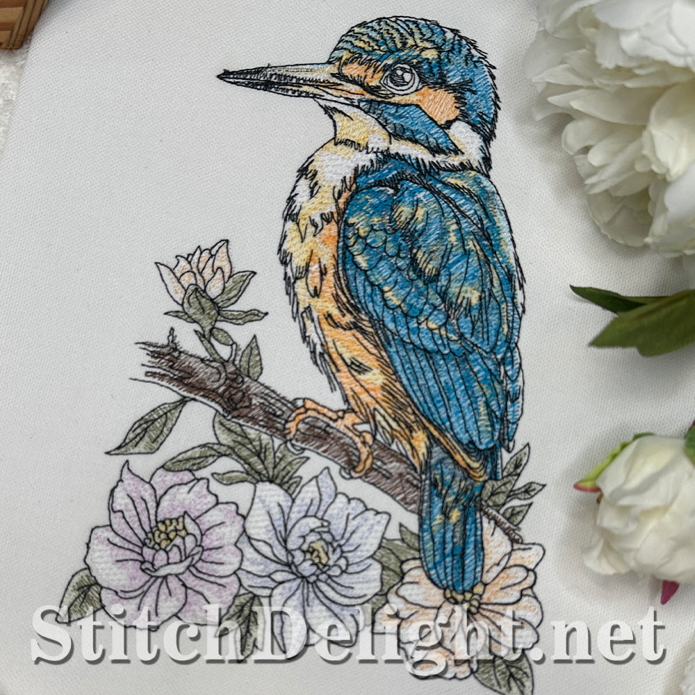 SDS4674 Kingfisher Bird