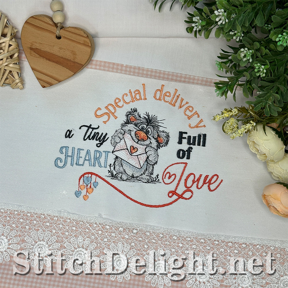 SDS4691 Special Delivery Scruffy