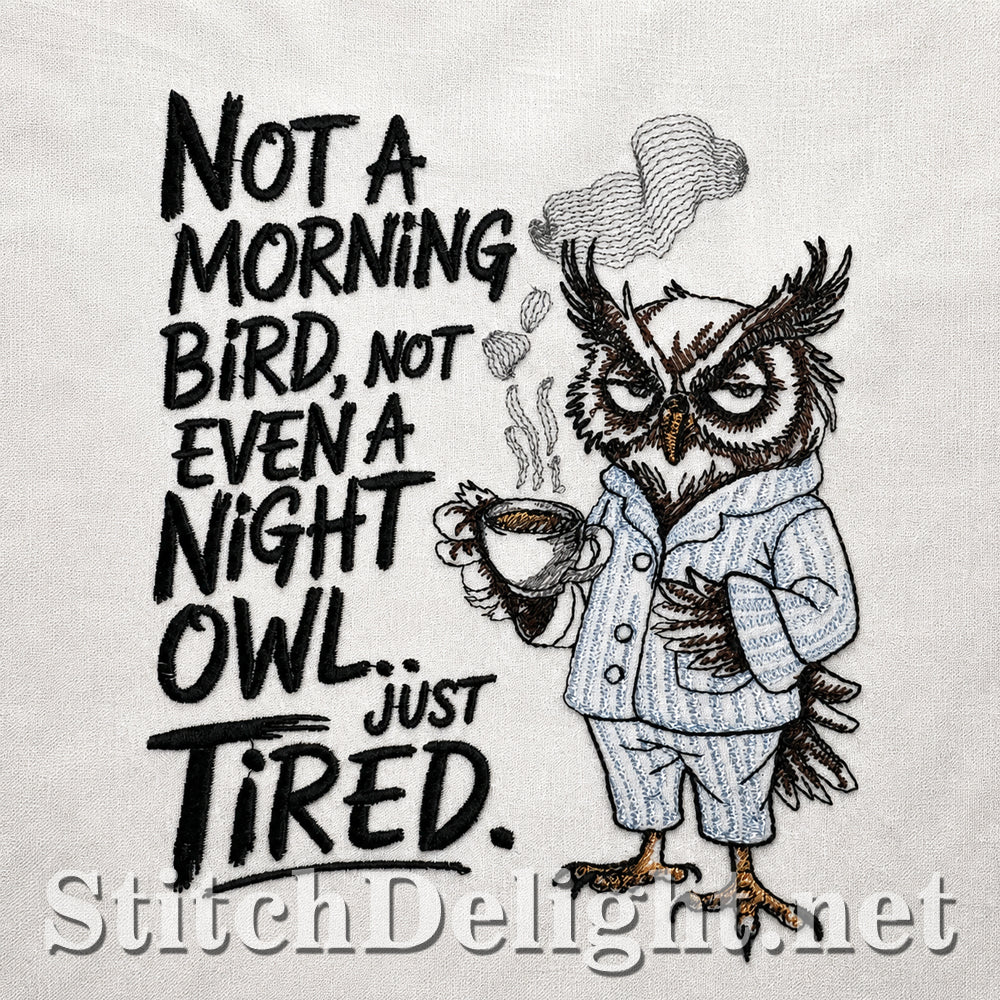 SDS5604 Grumpy Owl