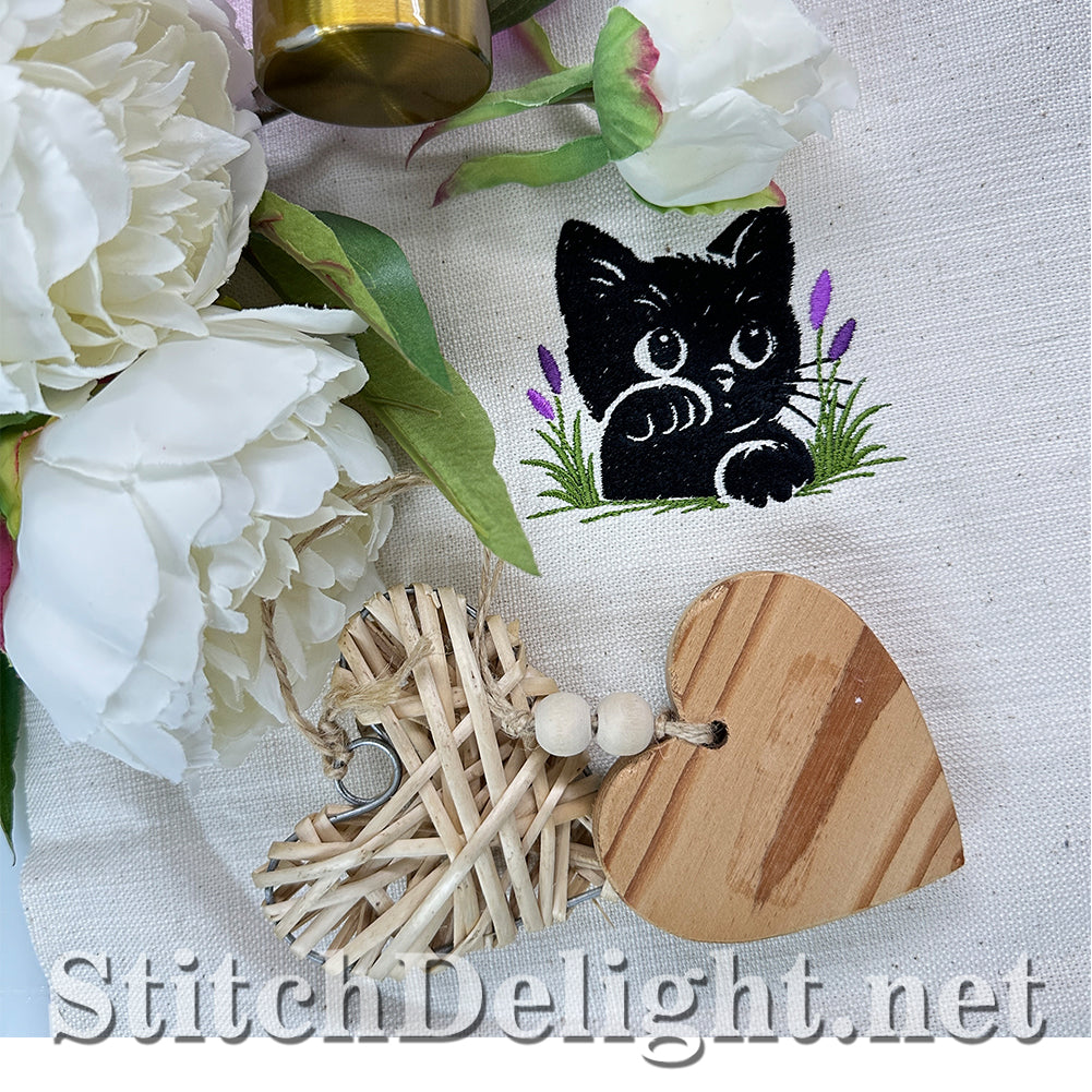 SDS4460 Our Kitty Shadow