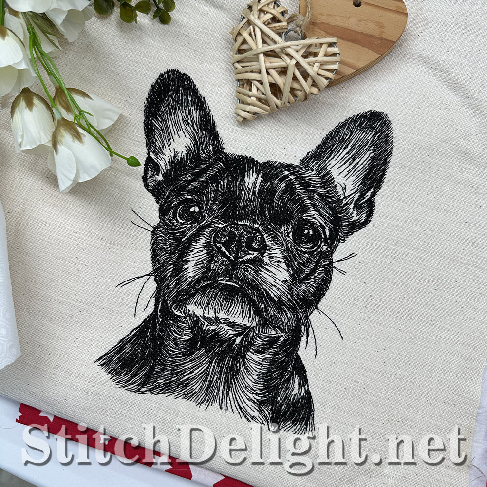 SDS4486 Boston Terrier
