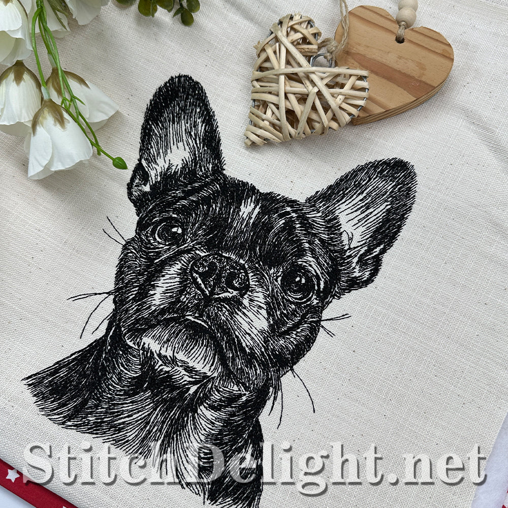 SDS4486 Boston Terrier