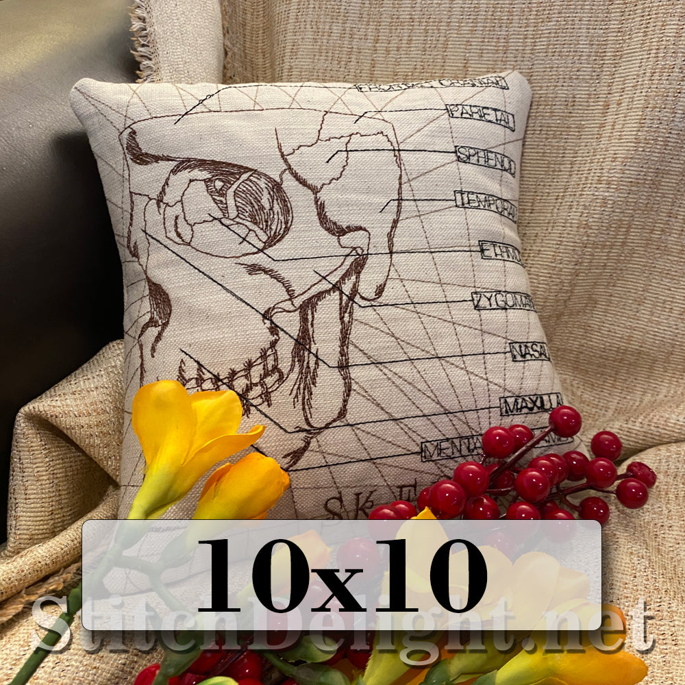 SDS3130 Skeletal Skull 10X10