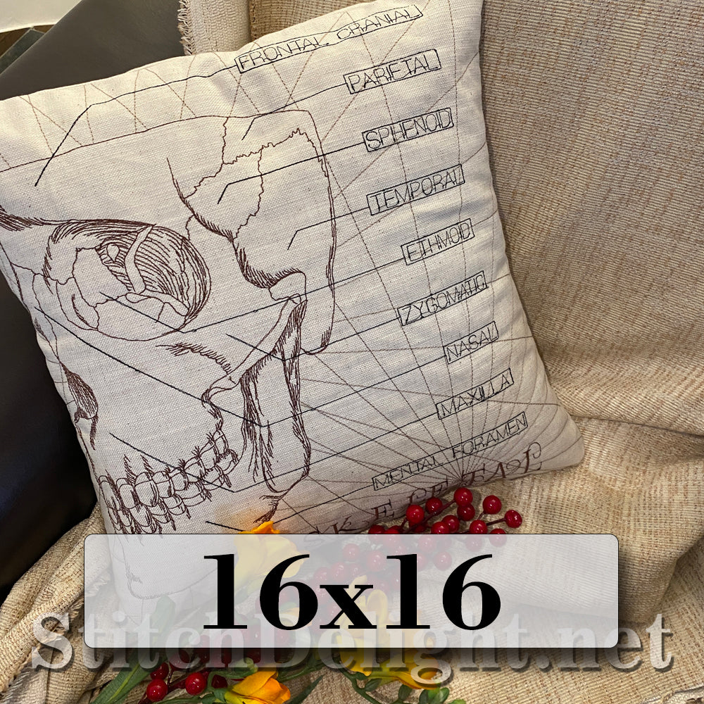 SDS3130 Skeletal Skull 16X16