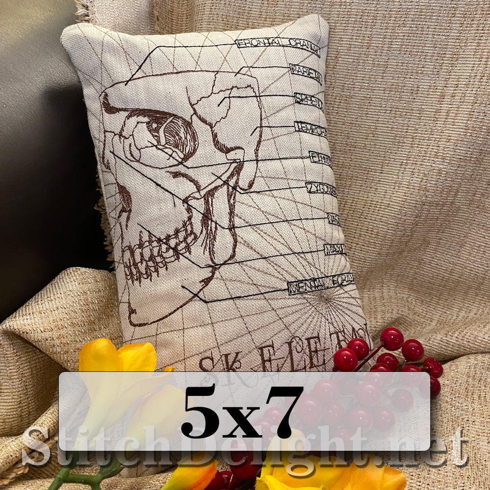 SDS3130 Skeletal Skull 5X7