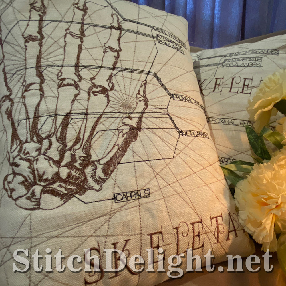 SDS3129 Skeletal Hand 9X12