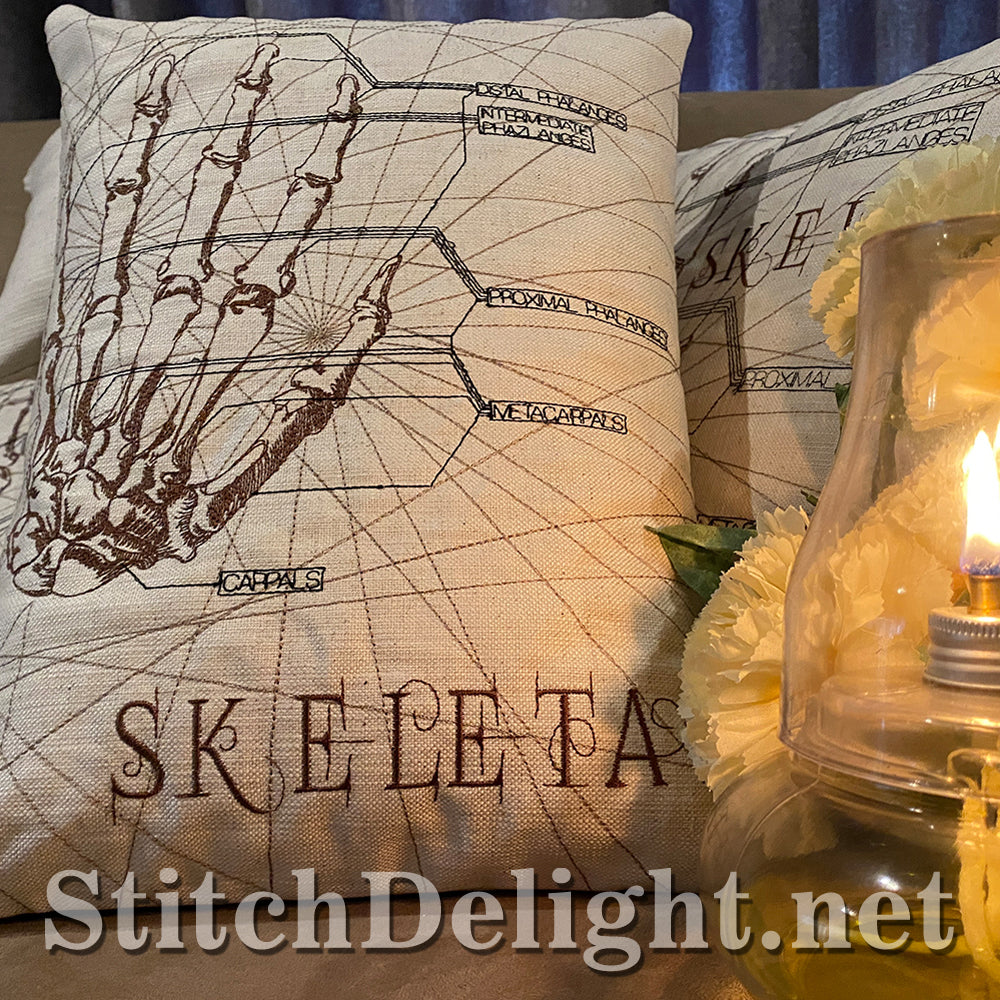 SDS3129 Skeletal Hand 15X15