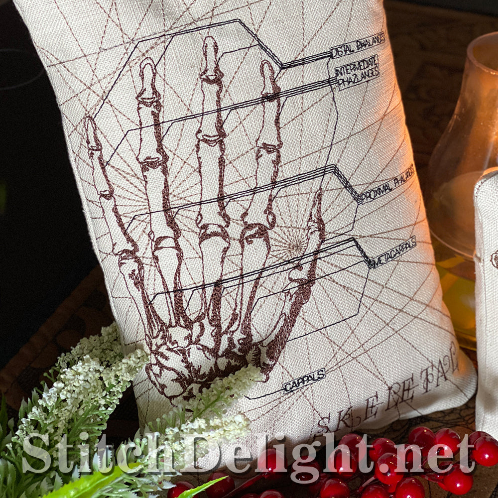 SDS3129 Skeletal Hand 7X12