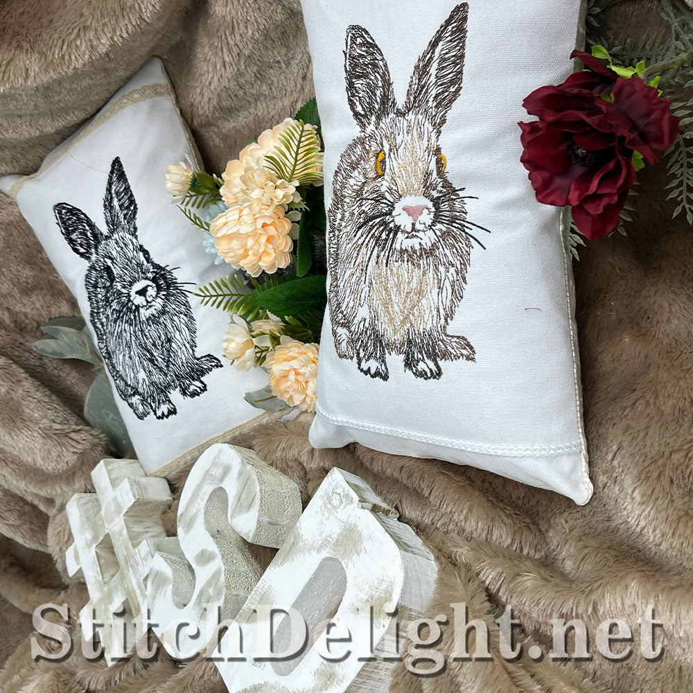 SDS3210 Pencil Sketch Bunny