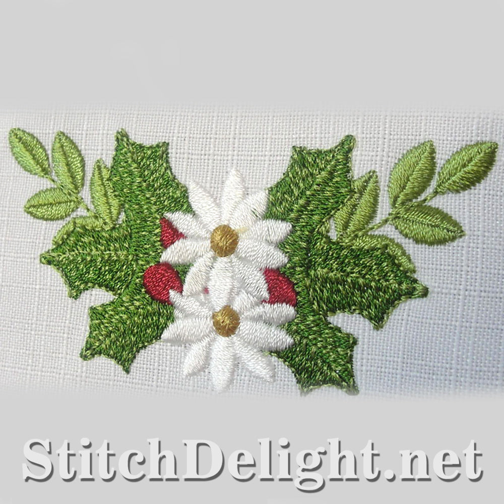 SDS4183 Christmas Fun 1