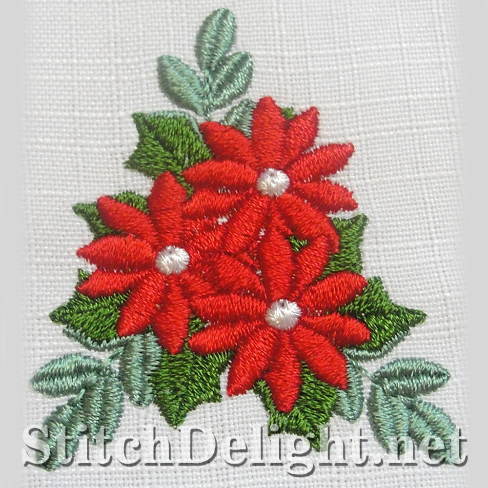 SDS4184 Christmas Fun 2