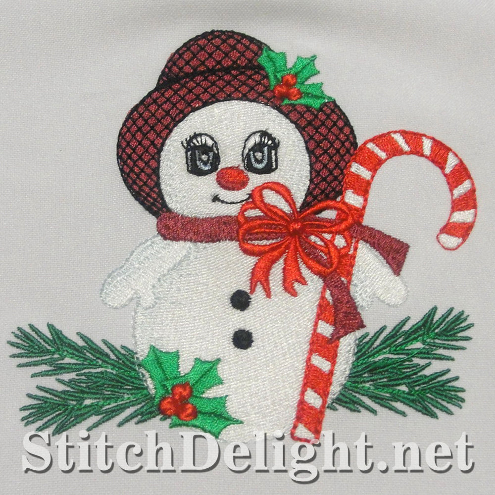 SDS4186 Christmas Fun 4