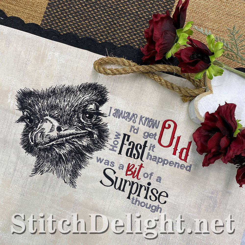 SDS5522 Lady Ostrich Quote