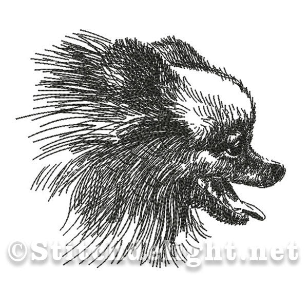 SDS0493 Pencil Sketch Chihauhau