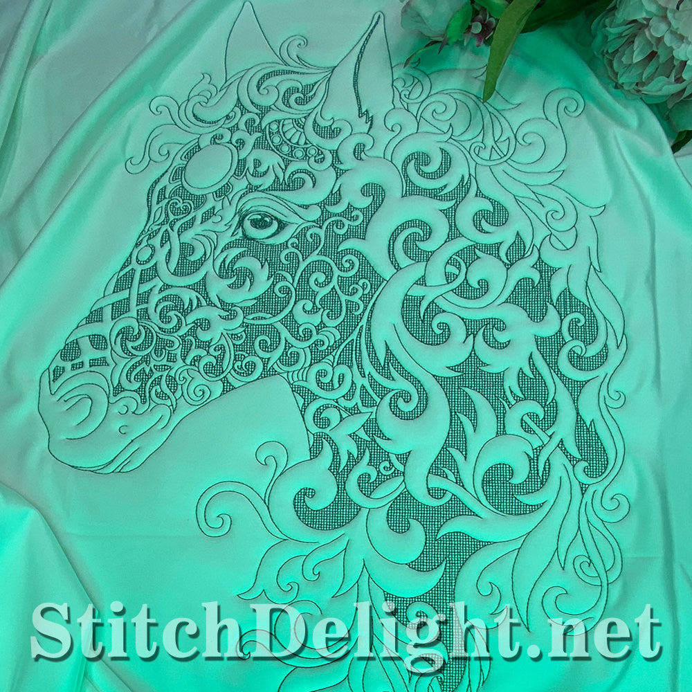 Portrait beauté équestre SDS1780