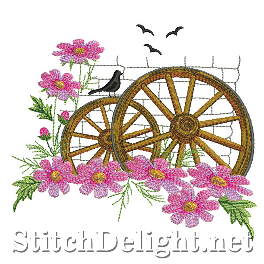 SDS0744 Fleurs de cosmos