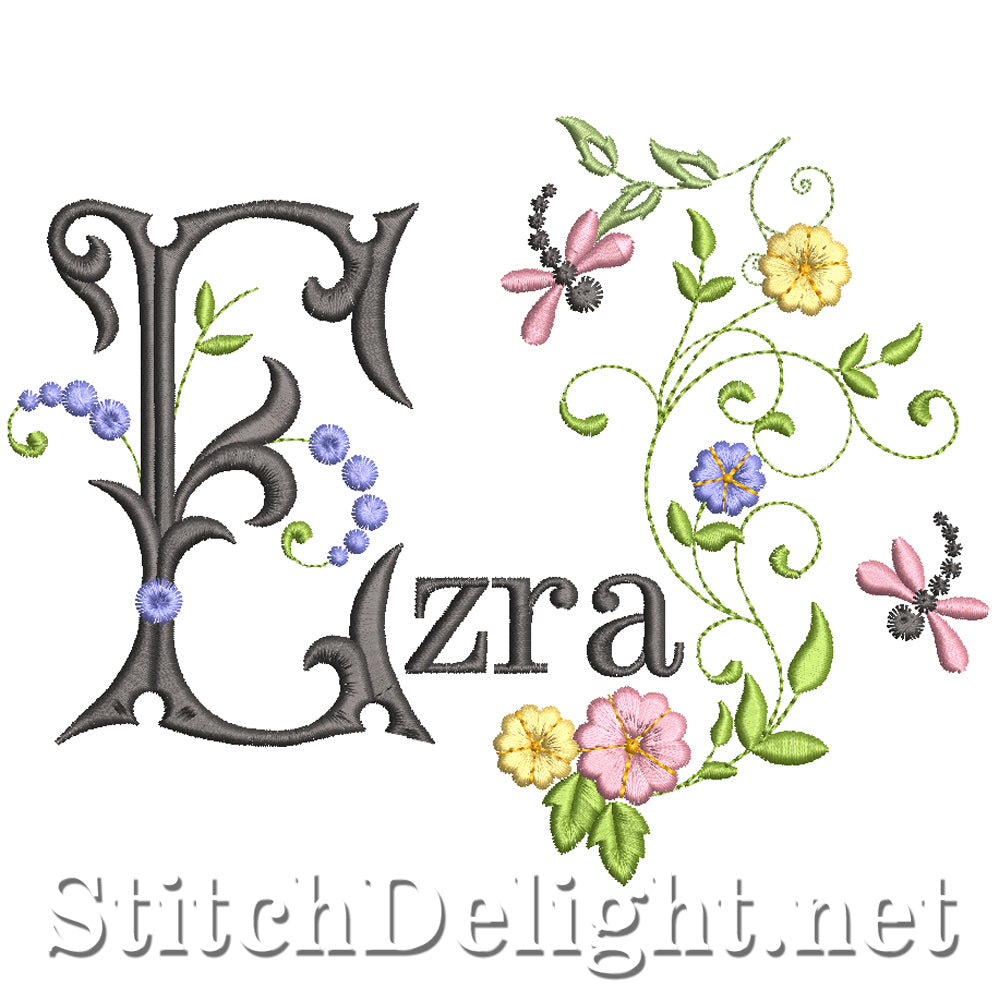 SDS5181 Esdras