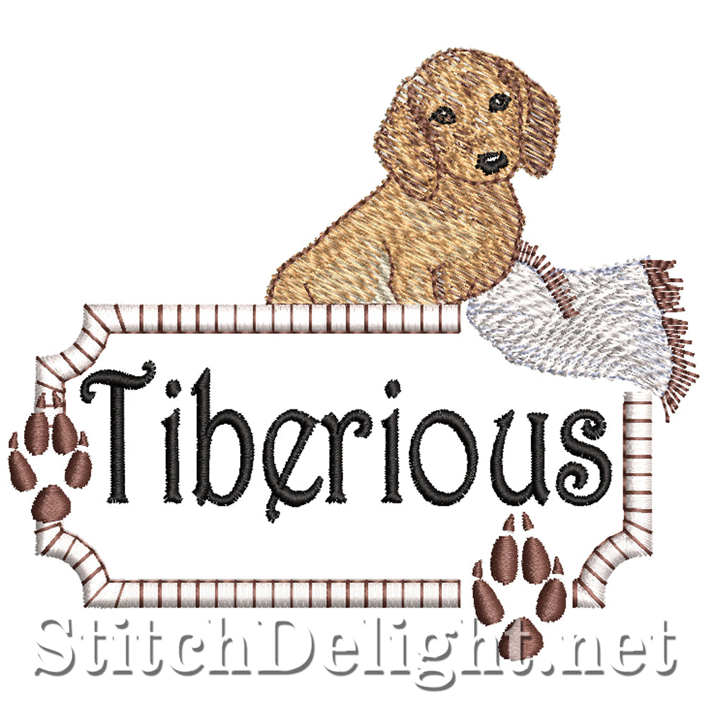 SDS5143 Tiberious