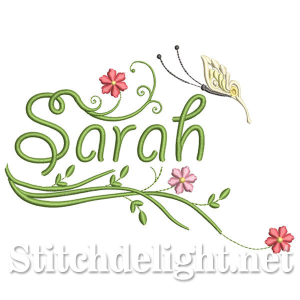 <transcy>SDS0216 Sarah</transcy>