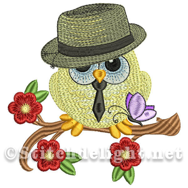 SDS0576 Monsieur Hibou