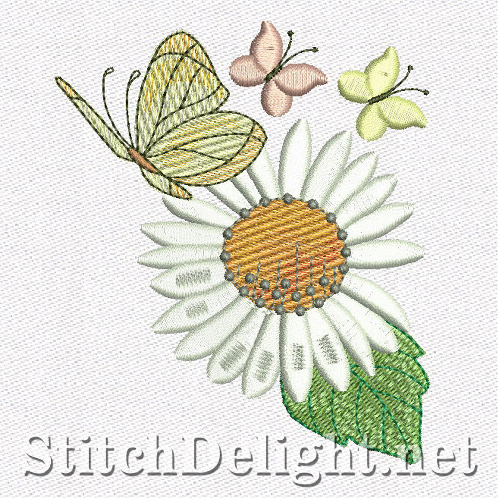 SD1161 Daisy Dreams