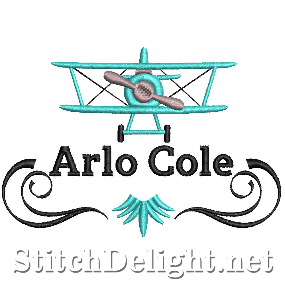 SDS2705 Arlo Cole