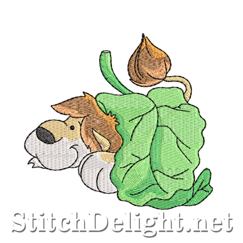 SD0539 Athur the Lion