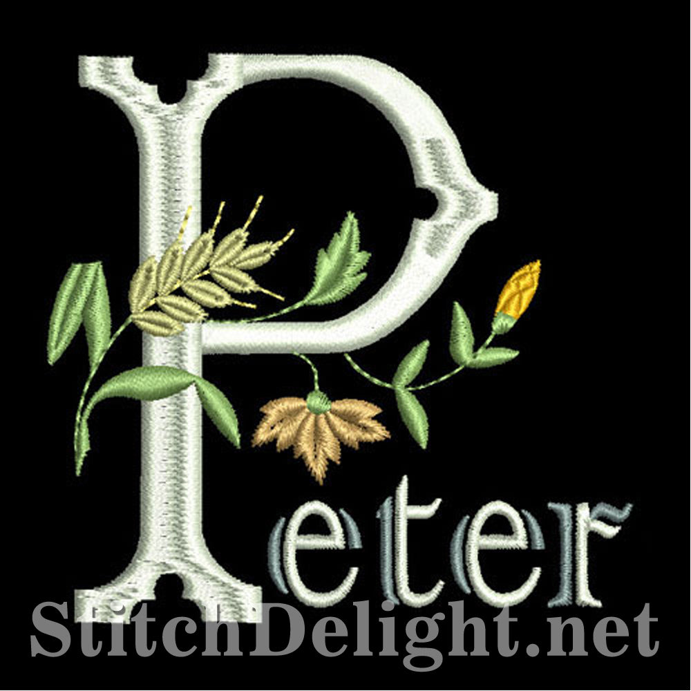 SDS1100 Pierre