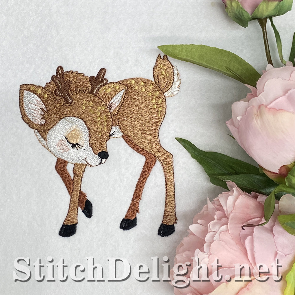 SDS1756 Buttercup 5x7