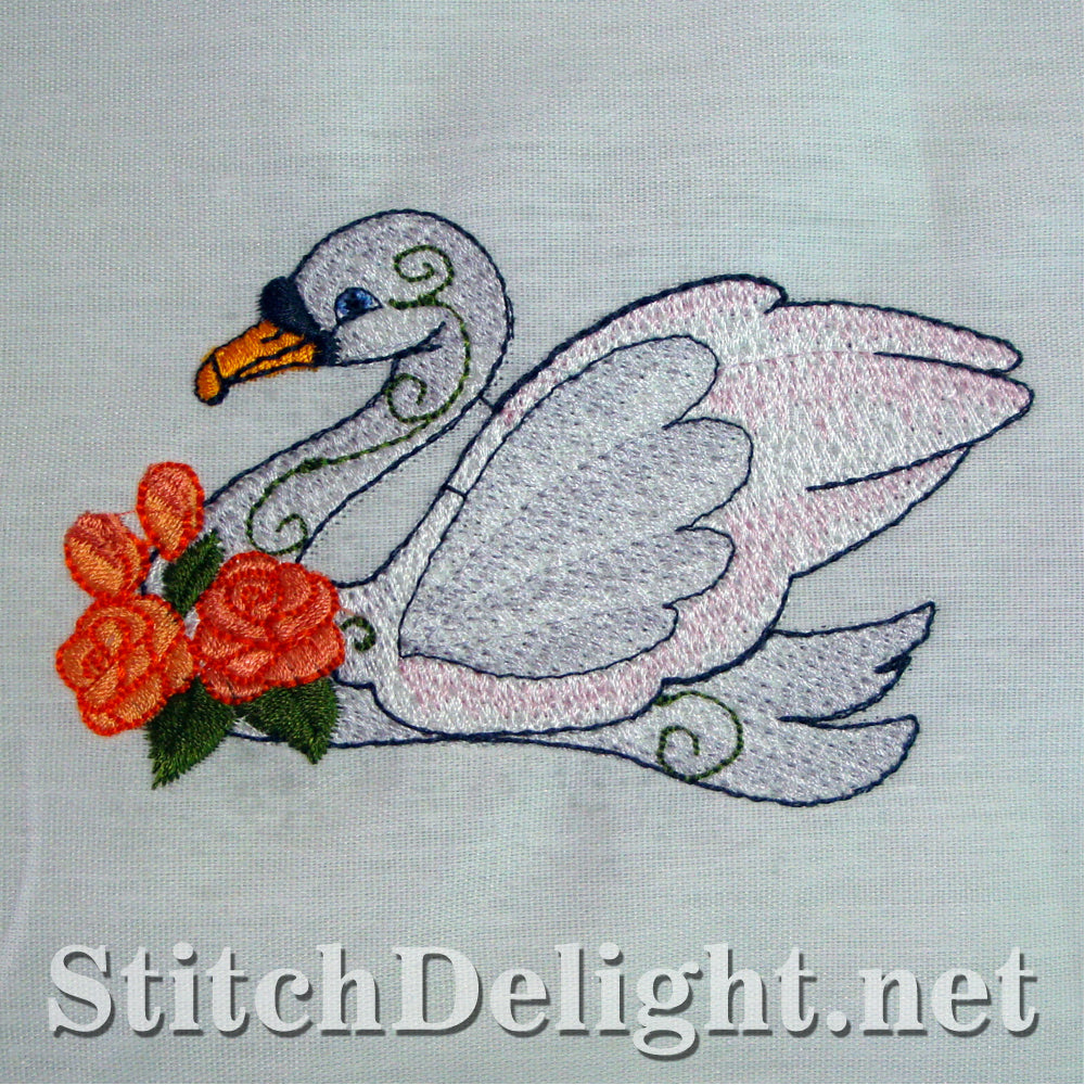 <transcy>SD1171 Cygnes élégants</transcy>