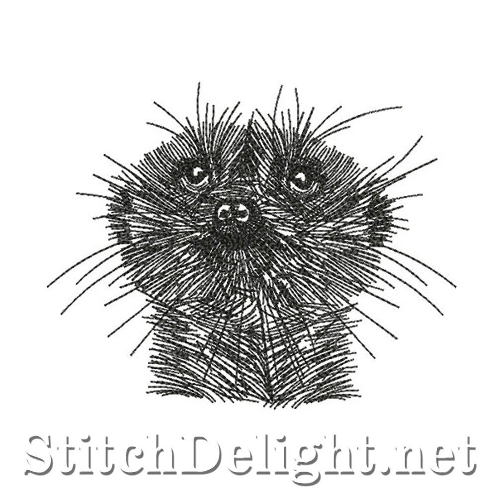<transcy>SDS0781 Bleistiftskizze Erdmännchen</transcy>