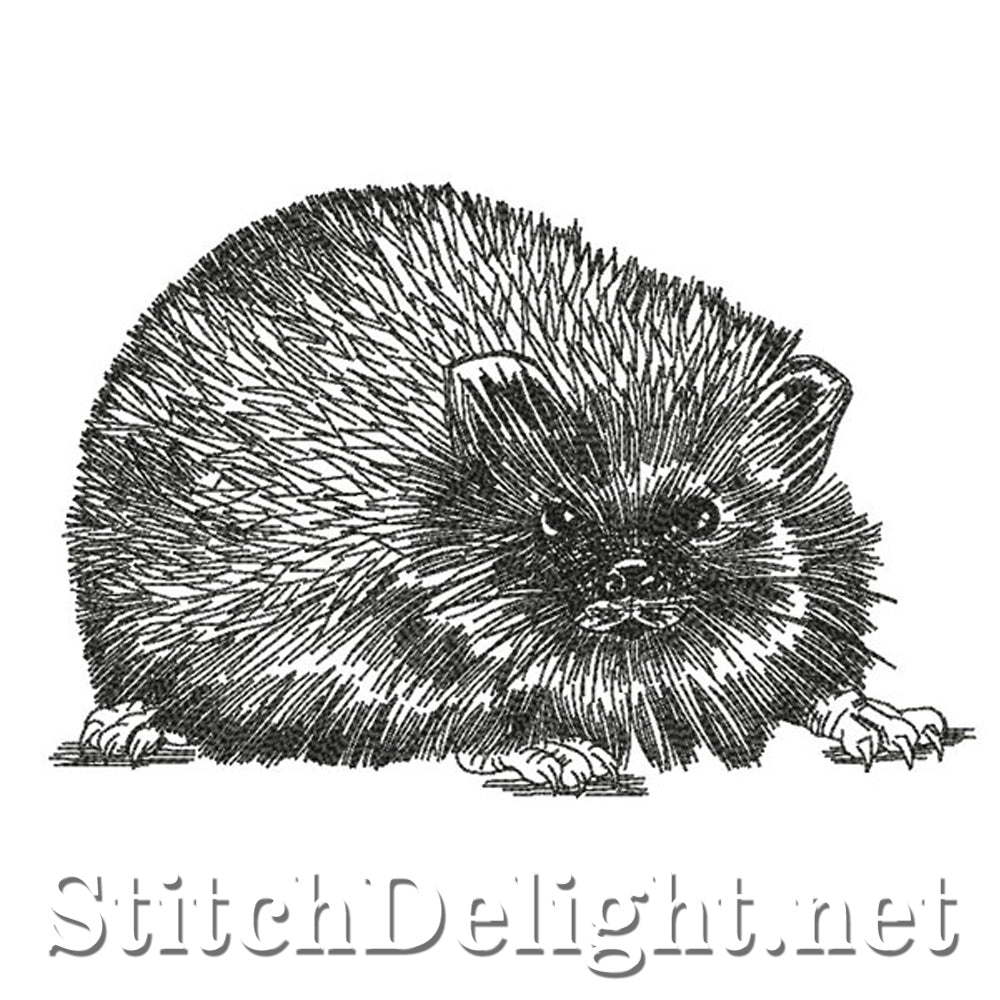 <transcy>SDS0770 Bleistiftskizze Igel</transcy>