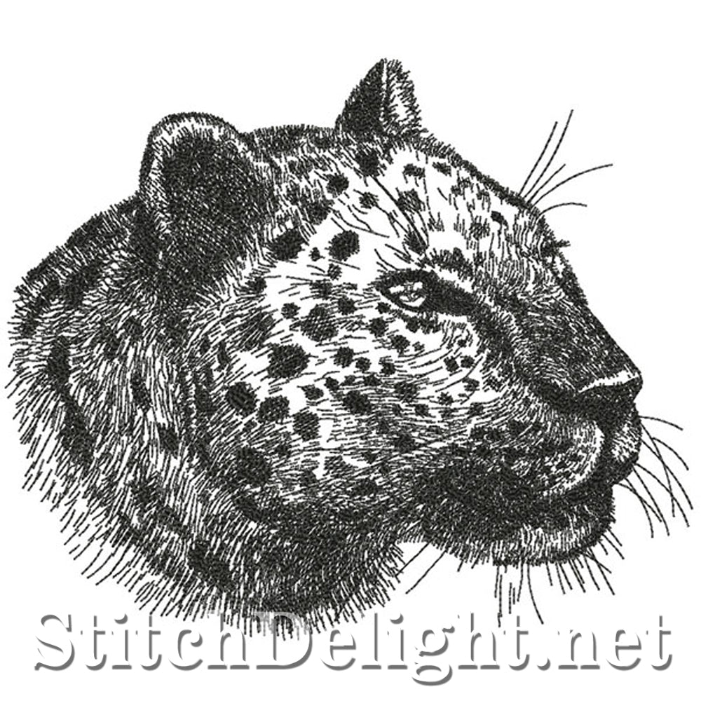 <transcy>SDS0753 Bleistiftskizze Leopard</transcy>