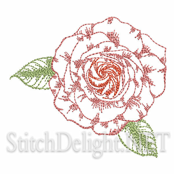 SD1281 1 Rose