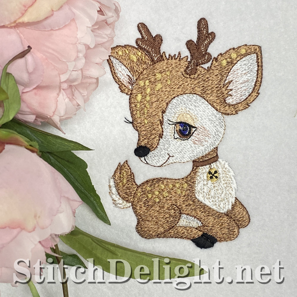 SDS1756 Buttercup 5x7