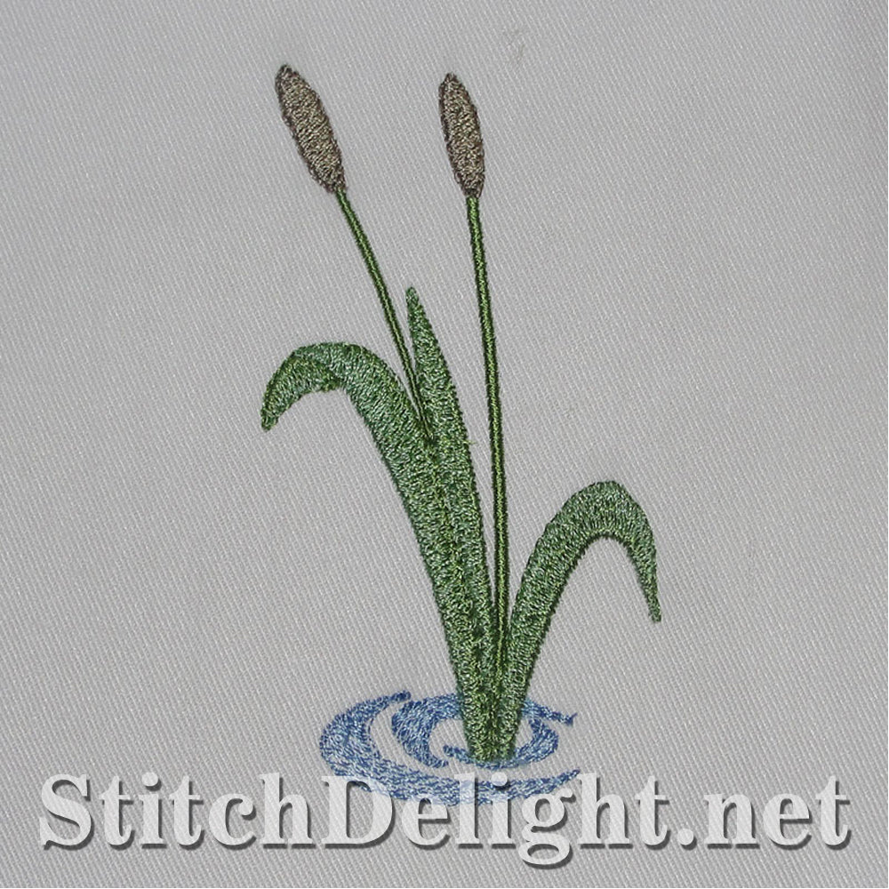 SDS1578 Little Fisherman