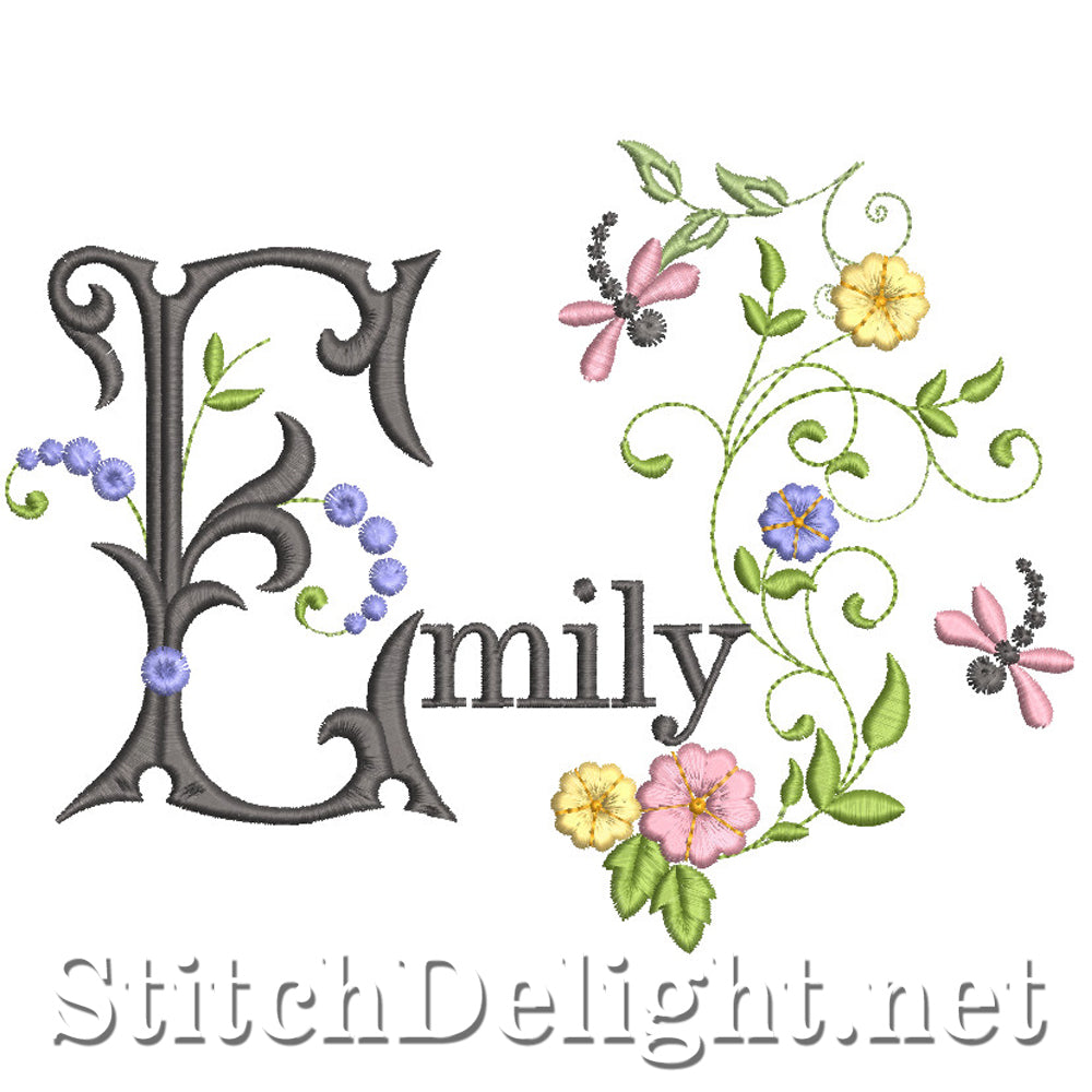 SDS2134 Emily