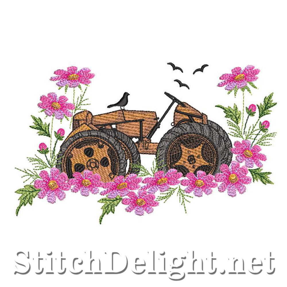 <transcy>SDS0744 Kosmos Blumen</transcy>