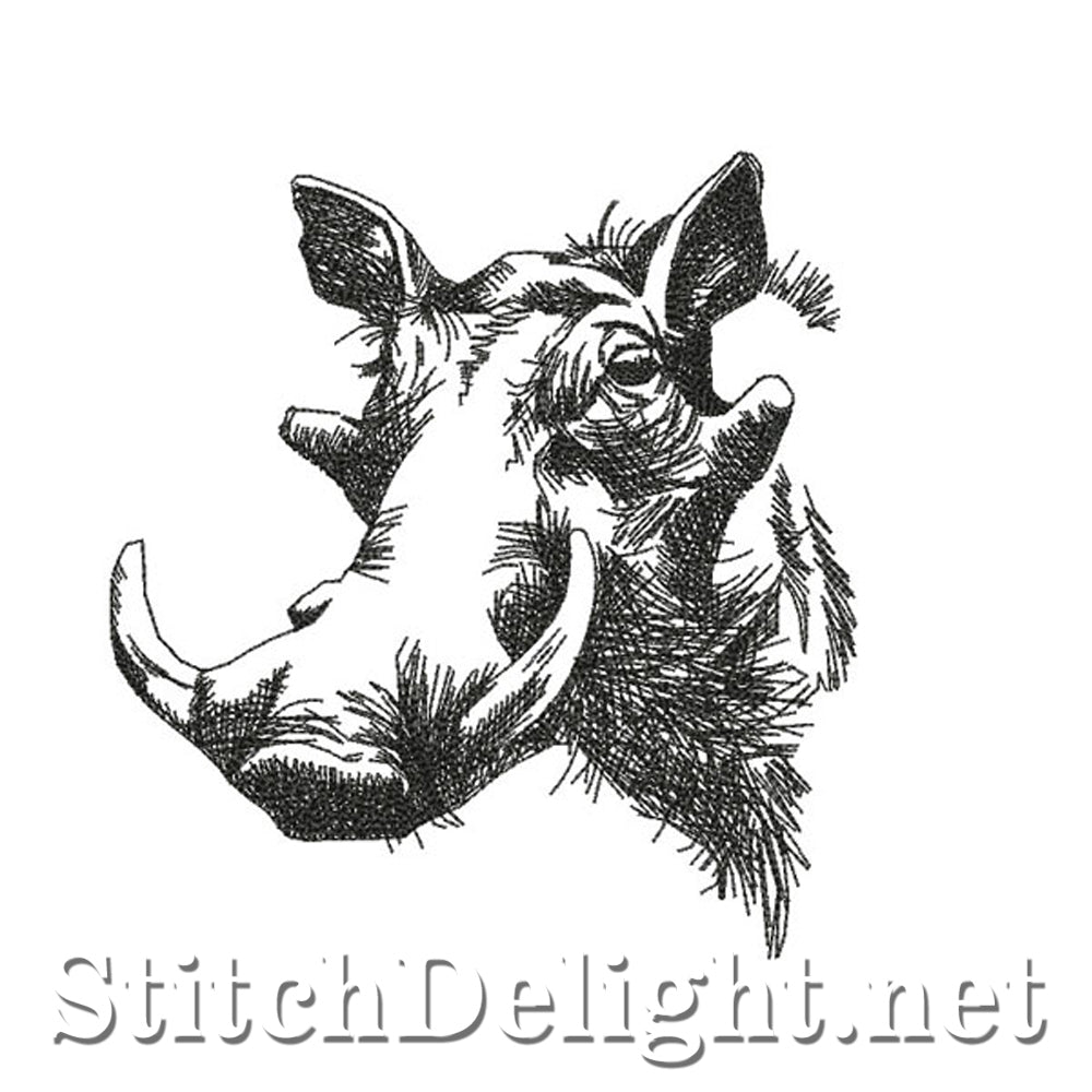 <transcy>SDS0766 Bleistiftskizze Warzenschwein</transcy>