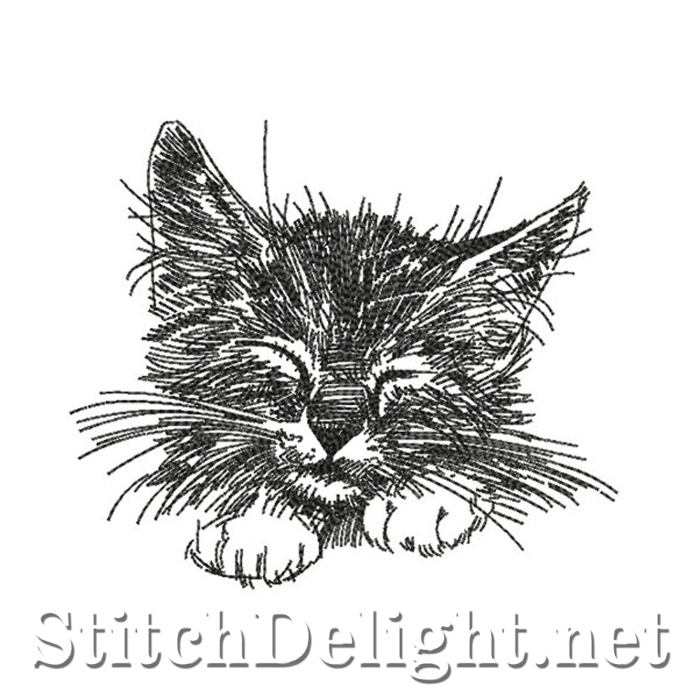 SDS0346 Pencil Sketch Kitty