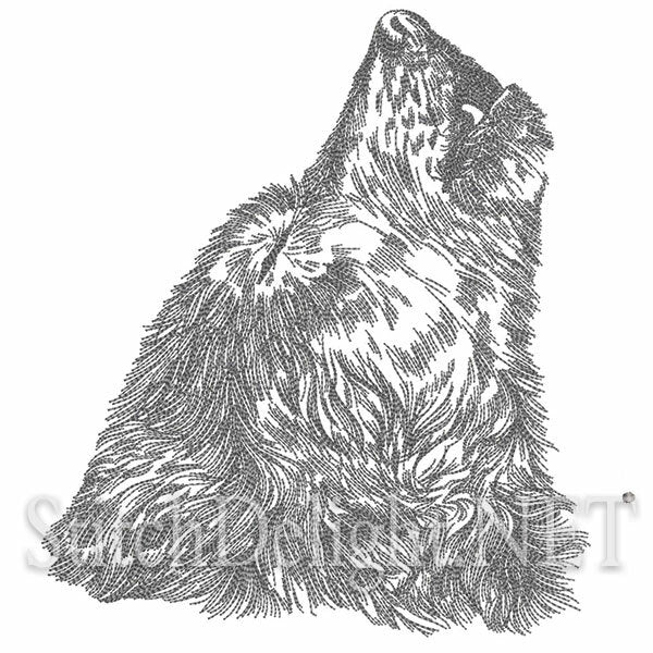 <transcy>SD1285 Loup</transcy>