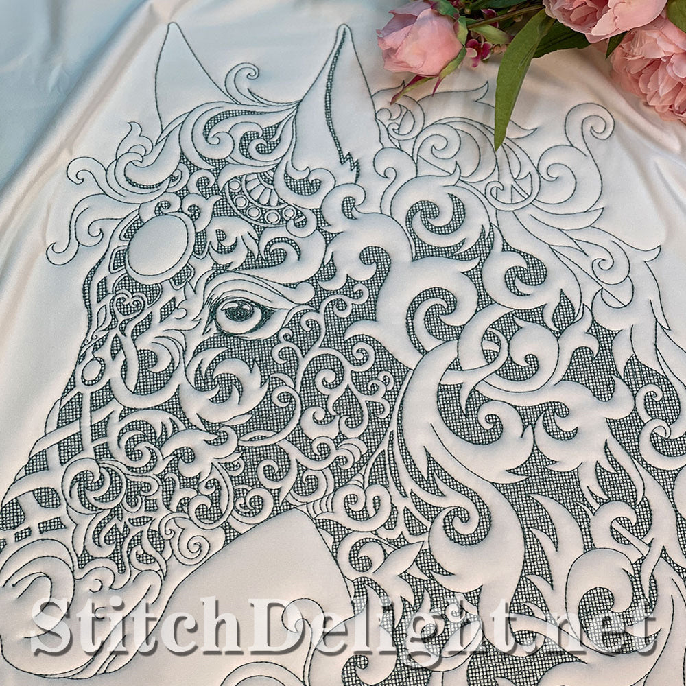 Portrait beauté équestre SDS1780