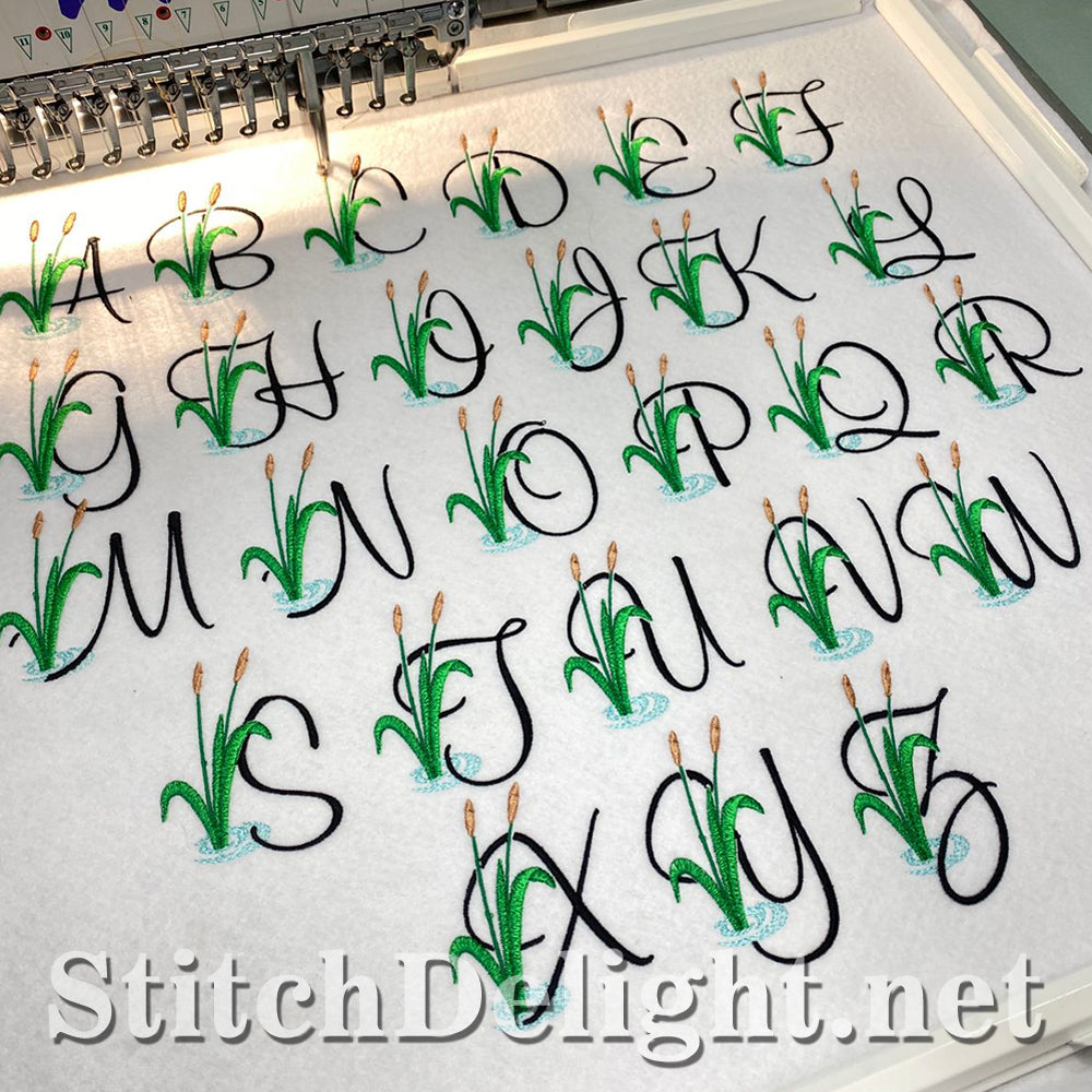 SDS1570 Froggy Font