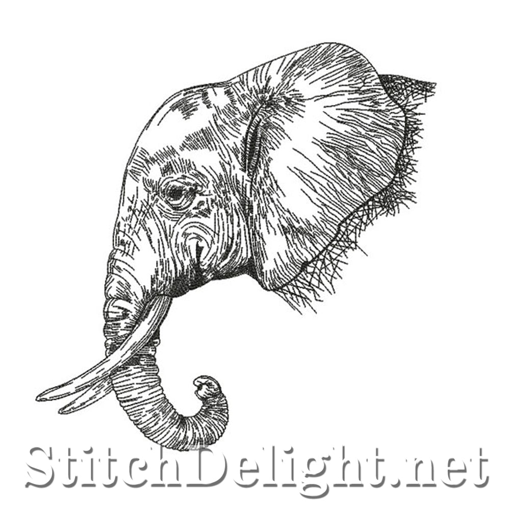<transcy>SDS0755 Bleistiftskizze Elefant</transcy>