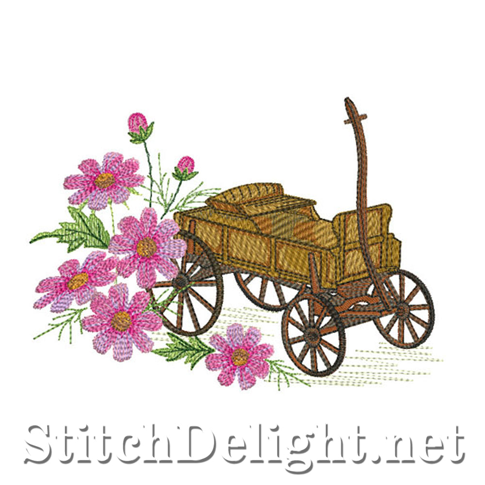 SDS0744 Fleurs de cosmos