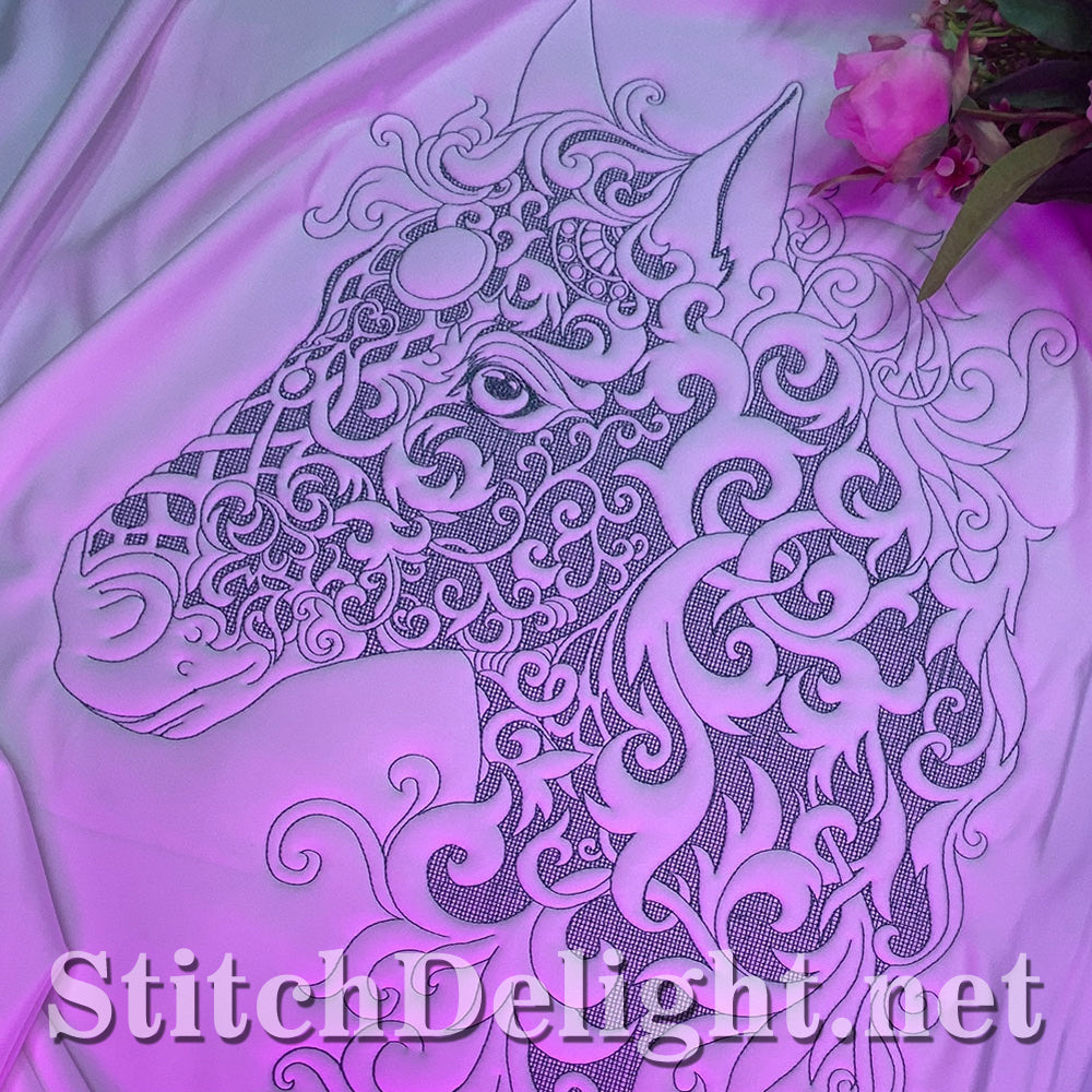 Portrait beauté équestre SDS1780